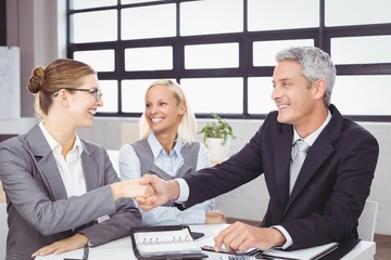 Business people handshaking during meeting