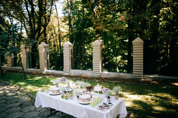 Delicious wedding reception candy bar Dessert table for a wedding outdoor party. Ombre cake, cupcakes, sweetness and flowers 