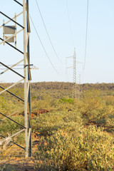 Power Lines Africa