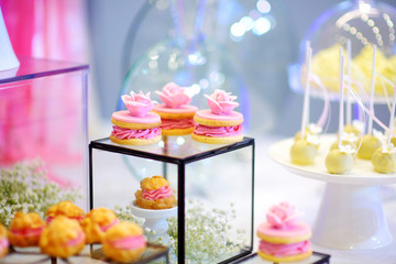 Beautiful desserts, sweets and candy table at wedding reception
