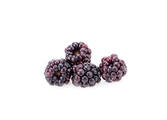 Blackberry isolated on white background.