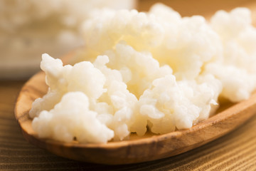 Organic probiotic milk kefir grains