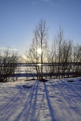 весенний снег