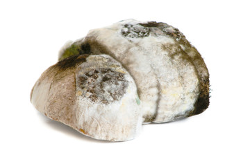 Obraz premium Mold on bread on white