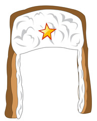 Winter hat with star