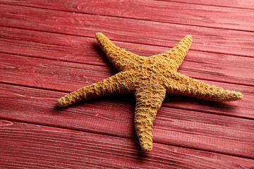 Starfish on a red wooden table