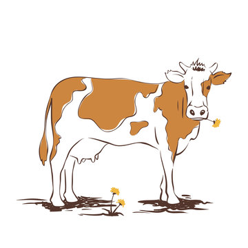 Vector illustrations -- cow with dandelion