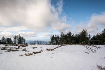 Hornisgrinde - Schwarzwald