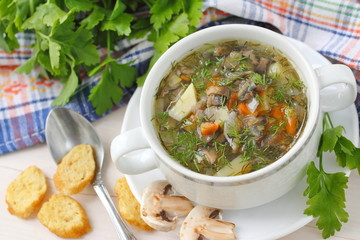Soup with mushrooms and vegetables