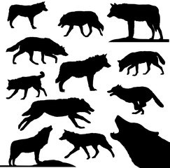 W&ouml;lfe -  Vektor Sammlung