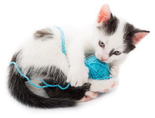 kitten playing with ball of yarn