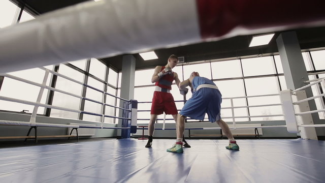 Young boxers have a fight at ring in a boxing club