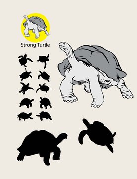 Turtle Silhouettes and Logo, art vector design