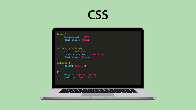 css cascading style sheet programming with laptop and script code