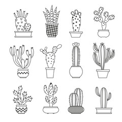 Cactus collection in vector illustration
