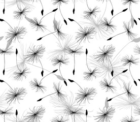 seamless background from black and grey dandelion seeds
