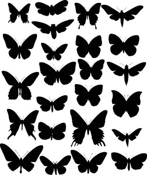 set of twenty four black butterfly wings shapes