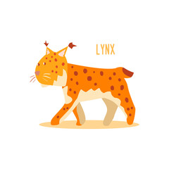 Lynx Vector Illustration