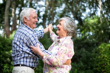 Cheerful senior couple dancing against trees © WavebreakMediaMicro