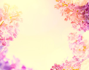 art Spring  background with fresh spring flowers