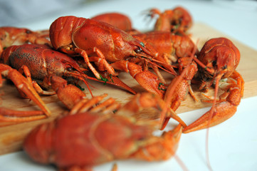 cooked Crayfish isolated on a white background.