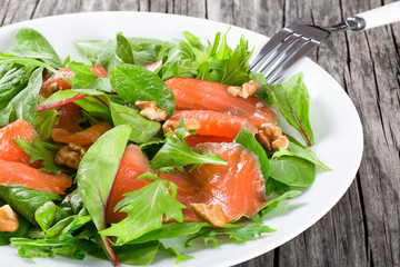 Red fish healty salad on white dish