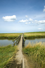 Holzsteg an der Nordsee