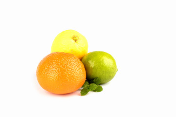 Citrus fruits isolated on white background