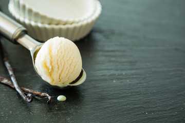 Vanilla ice cream in scoop