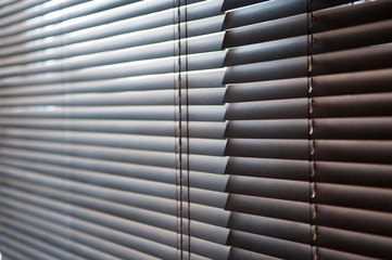 light through blinds