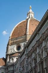 Fototapeta premium Firenze