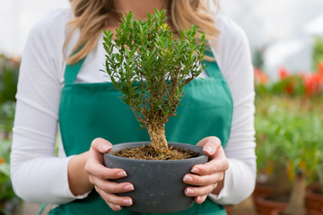 Florist Holding plant