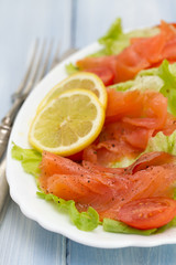salad with salmon on white dish on blue wooden background