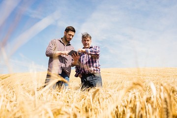 Two farmer using digital tablet in the field