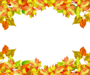 Naklejka na ściany i meble autumn leaves isolated on white background.
