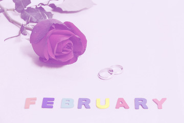 Red roses, rings and the word "FEBRUARY" : valentine concept