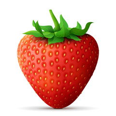 Strawberry fruit close up. Strawberry with leaves isolated on white background. Qualitative vector illustration about strawberry, agriculture, fruits, cooking, gastronomy, etc