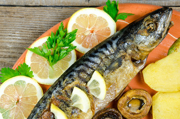 Beautiful large mackerel on a plate