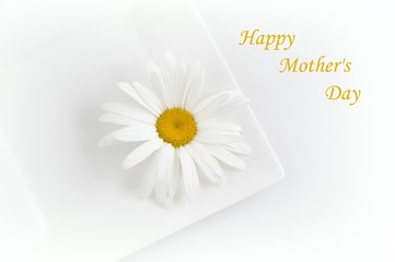  Mothers day card with white daisy. 