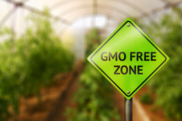 GMO free zone. Sign and natural products in the greenhouse - obrazy, fototapety, plakaty