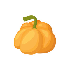 Pumpkin icon, cartoon style