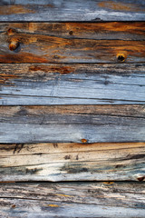 Obraz premium Wood texture