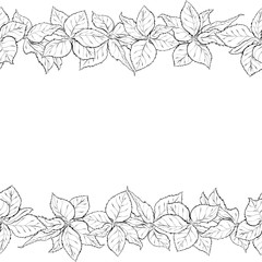 Hand drawn seamless border with foliage of rose. Monochrome leaf. Sketch of leaves isolated on white background.  Black and white pencil or ink outline