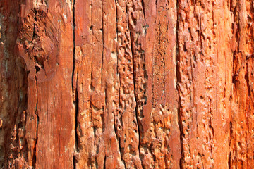 wood background