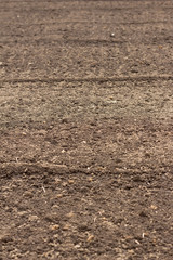 Soft dirt of farm after plowed