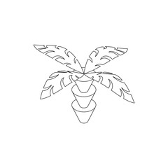 Coconut palm tree icon, isometric 3d style