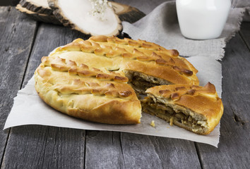 Russians traditional pastries - pies