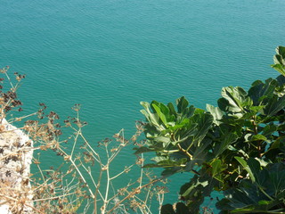 Vieste