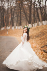Obraz na płótnie Canvas Beautiful bride posing in park and forest autumn