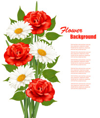 Flower Background With White Daisy and Red Roses. Vector illustr